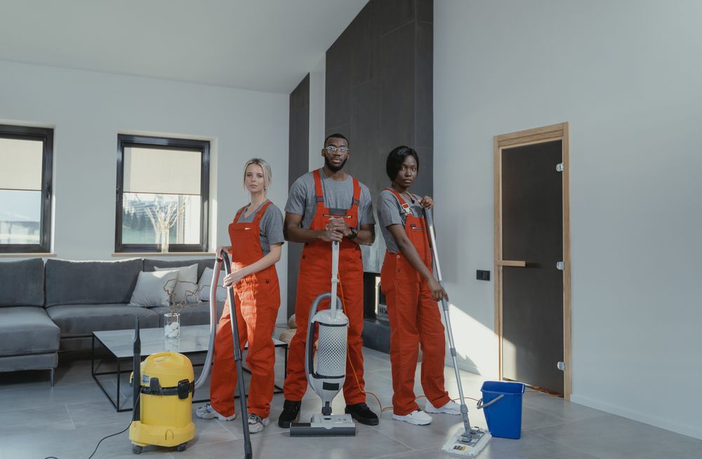 Trained, insured & on time